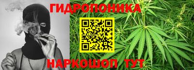 a pvp Чебоксары